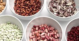 Frijoles surtidos con entrega desde Ucrania Vendemos frijoles cultivados