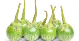 La berenjena tailandesa, o berenjena como a veces se