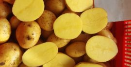 Patatas a la venta, origen (Holanda, Alemania, Francia) embalaje