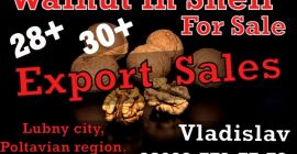 Información corta Milutraid@gmail.com +38 0997717772 Vladislav habla ruso +38