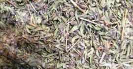 Tomillo 100% natural Ventas Tomillo 100% natural Ventas al por mayor en alto
