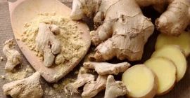 Fresco o seco vendido en toneladas