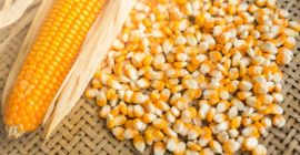 Amarillo seco medido en toneladas