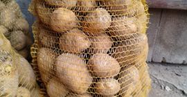Hola. Vendo patatas, variedad Marabel, cantidad unas 20 toneladas,