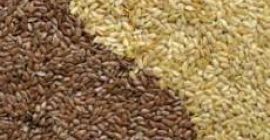 Compramos lino marrón dorado de forma continua. El precio