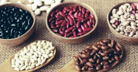 Frijoles de alta calidad de Ucrania Venta al por