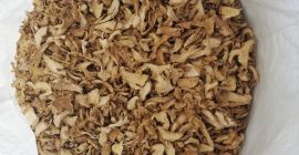 jengibre. producto rebanado. Corte fresco de 6 mm. secado