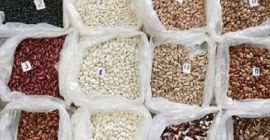 Granos en surtido para la venta Venta de frijoles.