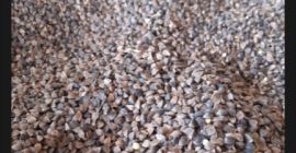 Venderé trigo sarraceno orgánico certificado, la cantidad de 25