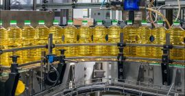 semillas de girasol de la más alta calidad de