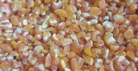 Rico en vitaminas de alta calidad Bolsas naturales puras