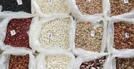 Comercio al por mayor de frijoles. Diferentes tipos de