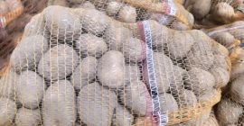 Venderé patatas comestibles, variedad Denar, en sacos de 15