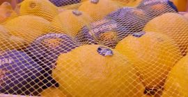 Venderemos limones españoles. Muy jugoso. ¡Nosotros invitamos!