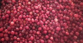 Venderé arándanos frescos de Bielorrusia. Caja 10 kg. Entregas