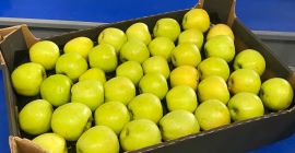 Las manzanas se envasan en cajas, así como muchos