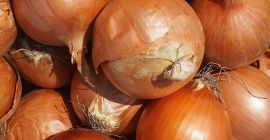 Envío desde 20 toneladas de cebollas de bulbo en