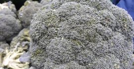 cada pieza de Brocoli pesa 500 gramos entre 1