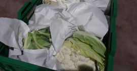 Productos biológicos 500 gramos 1.0 Kgs #Mr. Orhan Veli