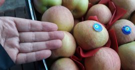 Fuji Apple Ecológico # Sr. Orhan Veli K. #