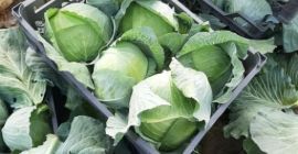 Tenemos eneldo fresco o cacberg o todas las verduras