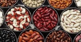 Comercio al por mayor de frijoles con entrega de