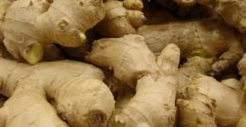 Jengibre fresco de Madagascar (BIO) Tamaño: 50, 60,70,80,100 g