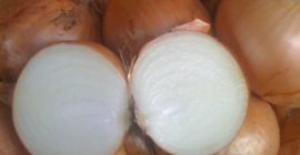 Cebollas de bulbo, ideales para cocinar en restaurantes, cafés,
