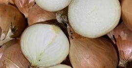 Cebollas de bulbo, ideales para cocinar en restaurantes, cafés,