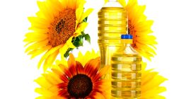 Exportamos grasas y aceites vegetales de alta calidad, ya