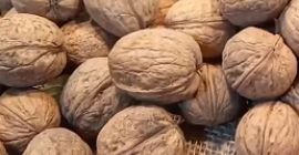 Compramos nueces para la pelea. Trabajamos en las regiones