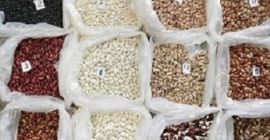 Vendiendo frijoles. Entrega de Ucrania. Ofrecemos frijoles al por