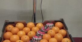 ¡Solo busco compradores serios! podemos proporcionarle: Naranjas. (Mandarín, ombligo)