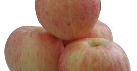 Exportamos manzanas como Fuji, Golden Delicious, Granny Smith, Pink