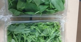 WhatsApp 3332290153 como te interesa