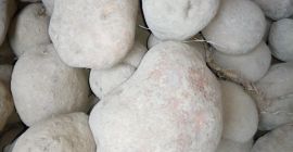 Hola. Venderé patatas comestibles Bella rosa, envasadas principalmente en