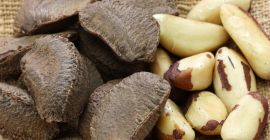 Almendras, anacardos, pistachos, avellanas, betel, avellanas, nueces del Brasil,