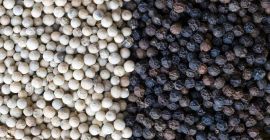 Almendras, anacardos, pistachos, avellanas, betel, avellanas, nueces del Brasil,
