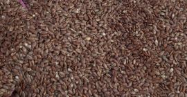 Empresa de Rumanía vende semillas de lino, en grandes