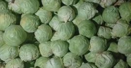 Prodavam zele kyuse i tvirdo para más información tel