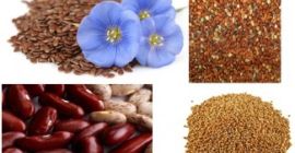 La empresa compra lino, sorgo, mijo, frijoles. - lino