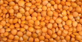 100 gr valores nutricionales: sodio: 9,13-energía: 318 carbohidratos: 41-proteínas: