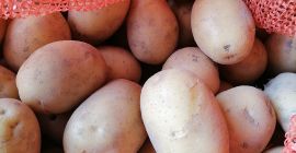 Voy a vender alrededor de 70 toneladas de papas