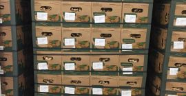 Vendo Jengibre fresco de primera calidad, empacado en caja