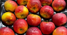 Venderé una manzana Topacio y otras variedades de postre.