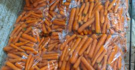 Vendemos zanahoria fresca de primera envasada en bolsas de