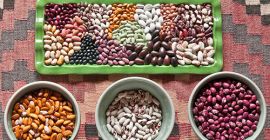 Vendemos frijoles con entrega desde Ucrania La empresa ucraniana