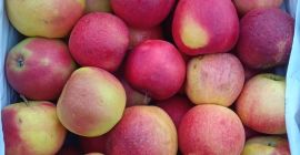 Envío manzanas y peras de postre a todo el