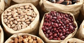 Venta de frijoles al por mayor (surtido) Vendemos frijoles