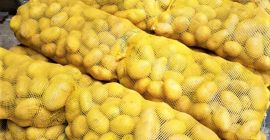 Nombre del producto.......Patatas frescas Color....................Amarillo Almacenamiento..............1 -3 centígrados Puerto
